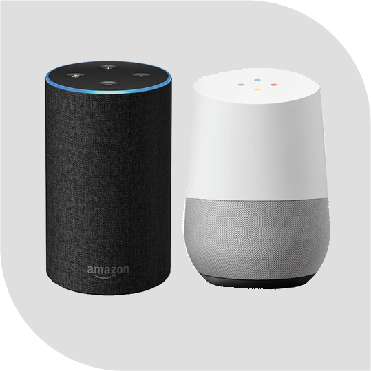 Voice Enabled Technology