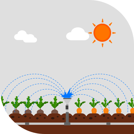 Smart Irrigation System